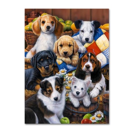 Trademark Fine Art Jenny Newland 'Country Bumpkin Puppies' Canvas Art, 24x32 ALI1990-C2432GG